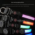 Bruno's High-Visibility LED Veiligheidshalsband