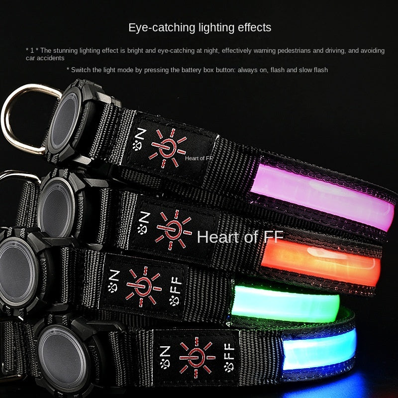 Bruno's High-Visibility LED Veiligheidshalsband